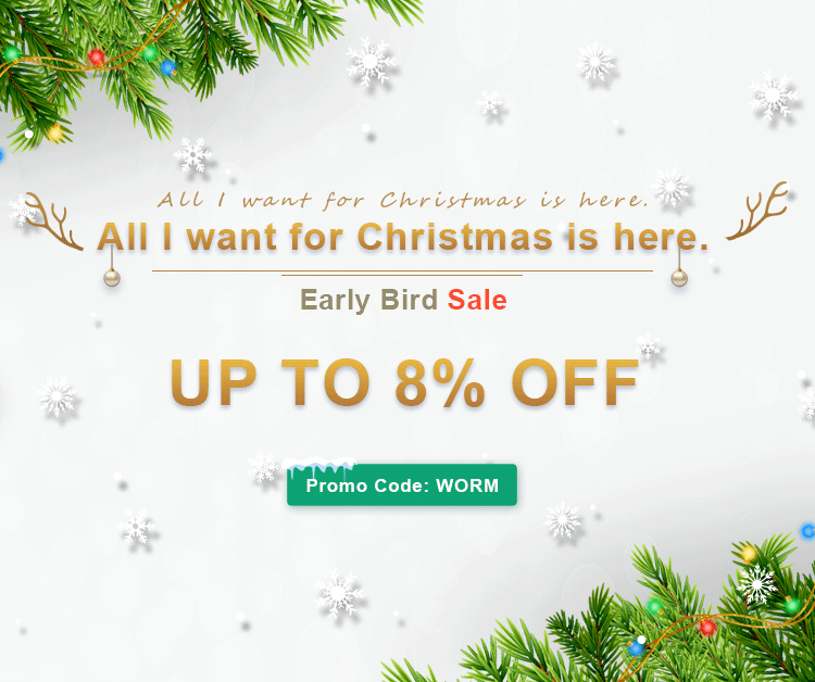 Early-Bird Christmas